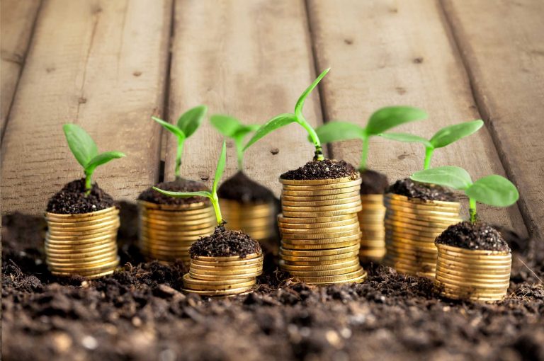 What Types Of Technologies Are Needed To Design Profit-driven Quality Improvement Programs?