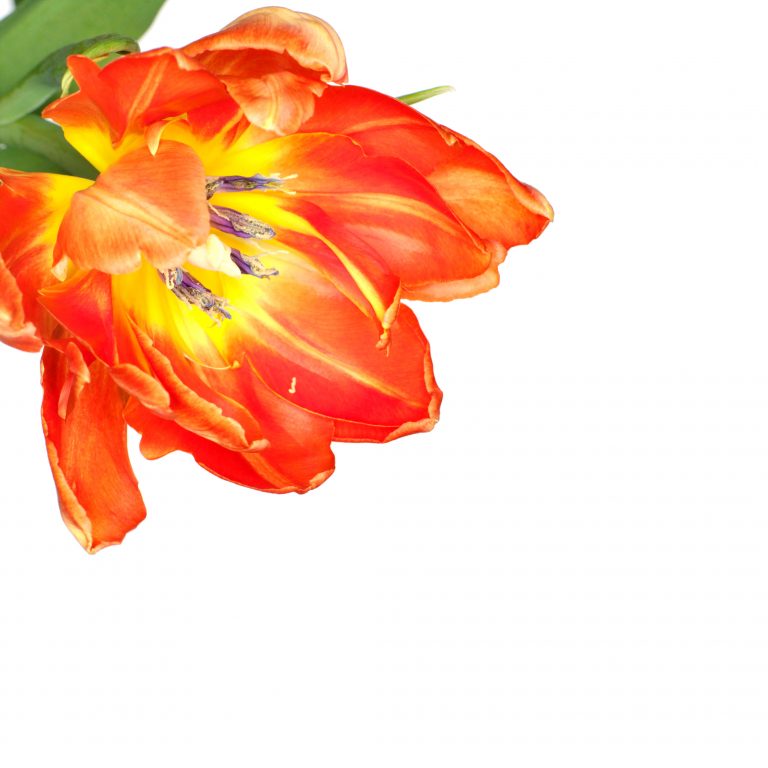 How Technology is Advancing Cosmetic Surgery and Providing Superior Results