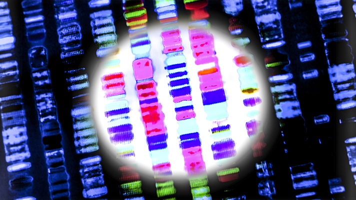 CRISPR editing is advancing precision medicine, this time to activate anti-aging gene