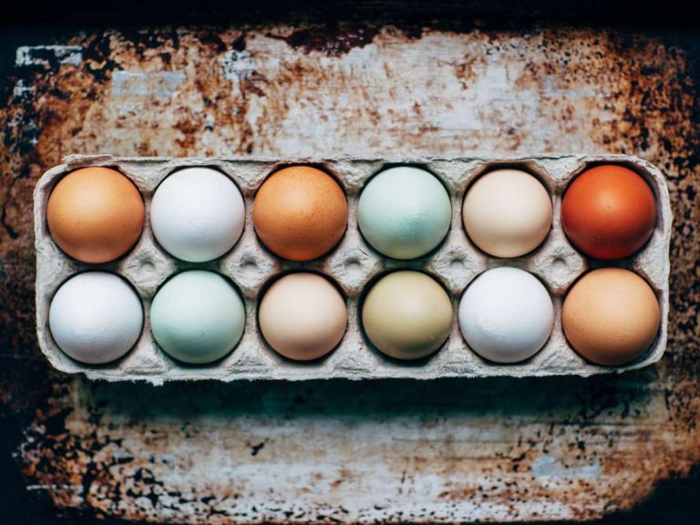 One egg per day may keep stroke at bay