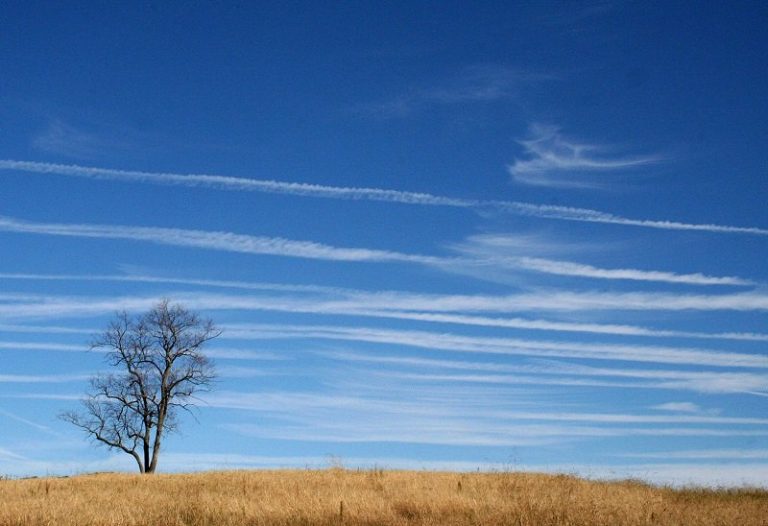 Experts say antifraud laws are holding back rural health