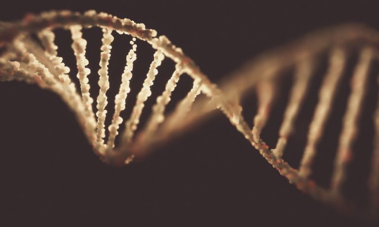 Share Your DNA, Get Shares: StartupFiles an Unusual Offering