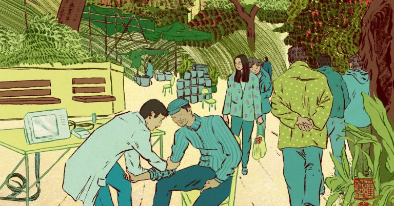 How elderly, sickly farmers are quenching China’s thirst for data