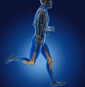 Orthopedic Soft Tissue Repair Market Overview, Growth Drivers and Demand Forecast by 2024 : psmrblog