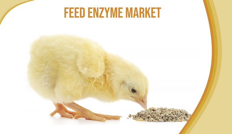 Feed Enzyme Market Size, Share and Forecast to 2024