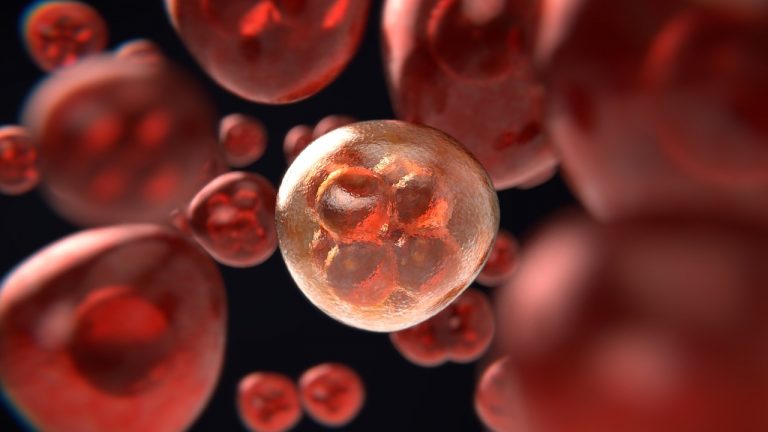 What You Must Know about Human Stem Cells and Health
