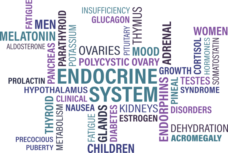 What is the Best Diet for People Diagnosed with Hypothyroidism?