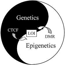 Epigenetics Market Is Expected to Reach $1,321 Million, by 2023