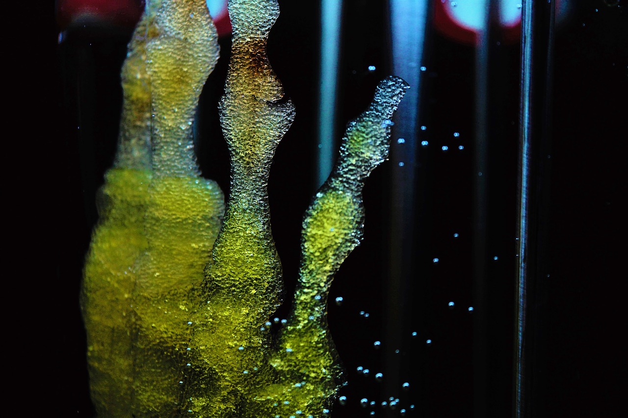 Healthcare of the Future: What is Regenerative Medicine?