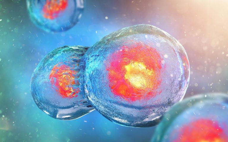 6 Ways to Use Stem Cell Therapy in a Medical Treatment Plan