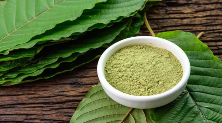 5 Cool Facts About the Kratom Tree