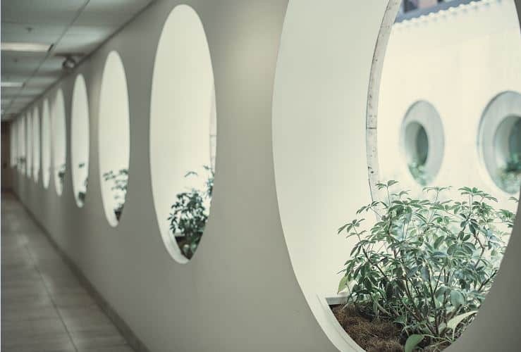 Global Medical Tourism Market Statistics 2019