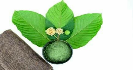 KRATOM FOR DEPRESSION, ANXIETY, AND STRESS