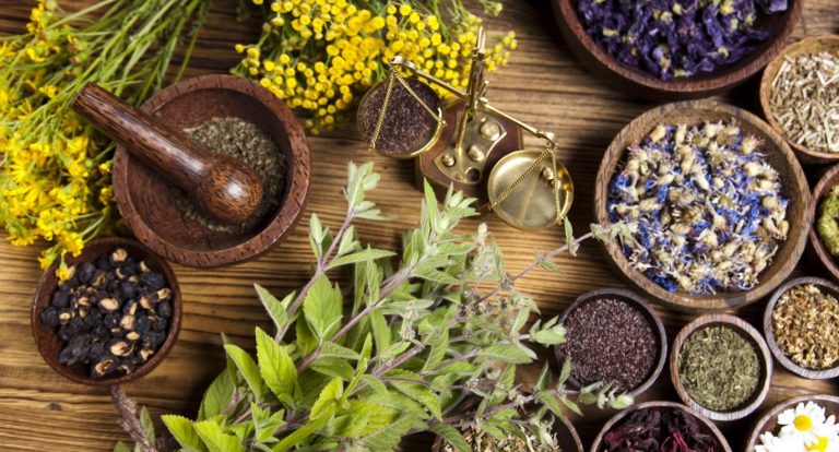 Herbal Medicine: Learn About Their Benefits And When You Should Use Them