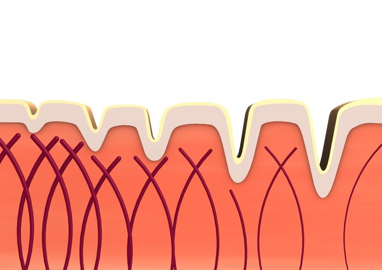The Role of Ferulic Acid on Skincare
