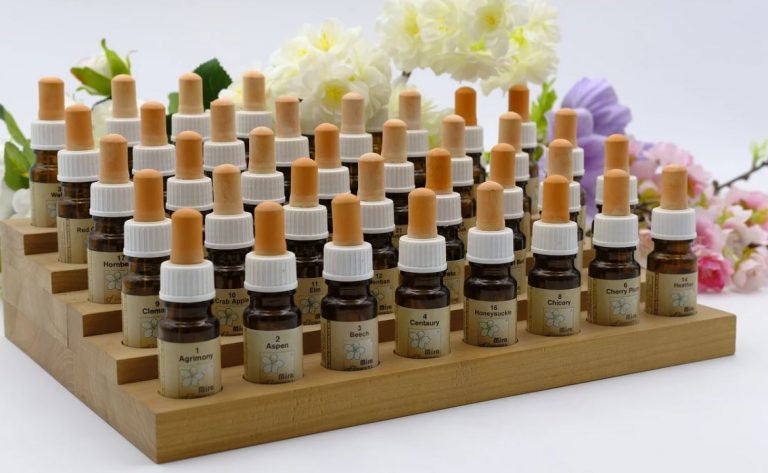 Everything You Need to Learn About Homeopathy Treatment