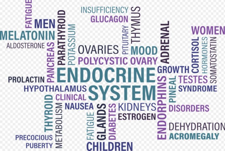 Link Between PCOS and Hypothyroidism