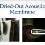 dried aucostic memberane
