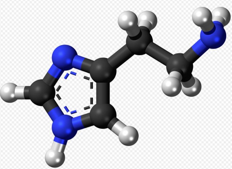 Things To Know About Histamine Intolerance