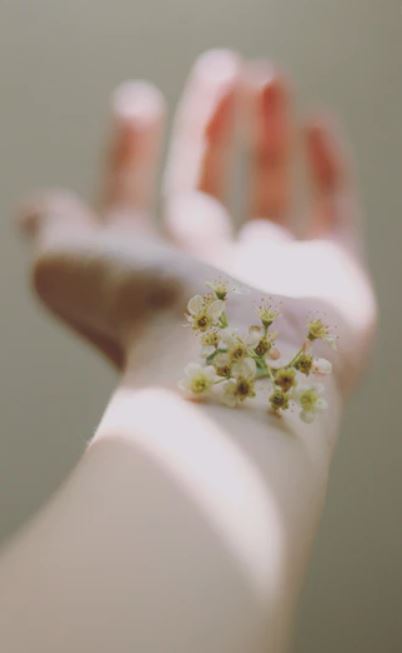 What Real Developments Have There Been In The World Of Dermatology?