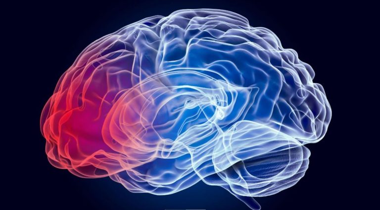 Neuroprotective Effects Of Punicic Acid In Parkinson’s: A Promising Therapeutic Approach