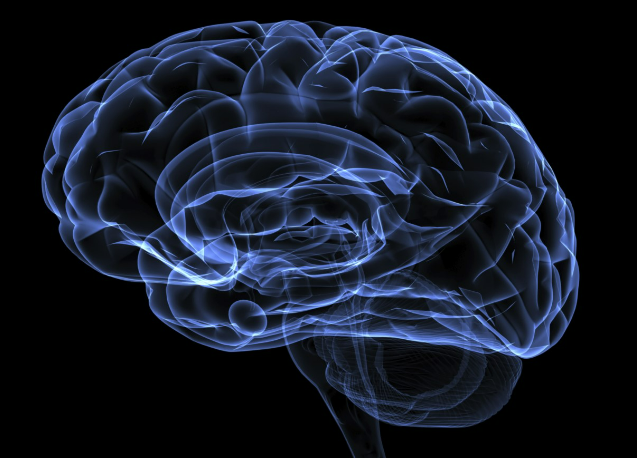 Addressing 5 Common Myths Associated with Concussions