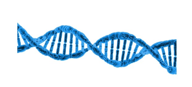 Unveiling the Innovations: Navigating the Frontier of Protein Engineering