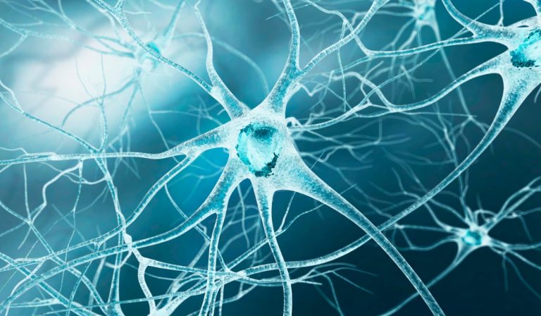 The Role of SURE CHO-M Cell Line in Healthcare Research