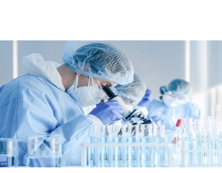 High-Quality Cell Line Generation Services for Research and Development