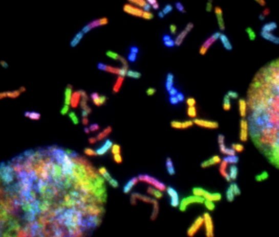 Empowering Patients: The Role of Digital Platforms in Birth Control Education and Access