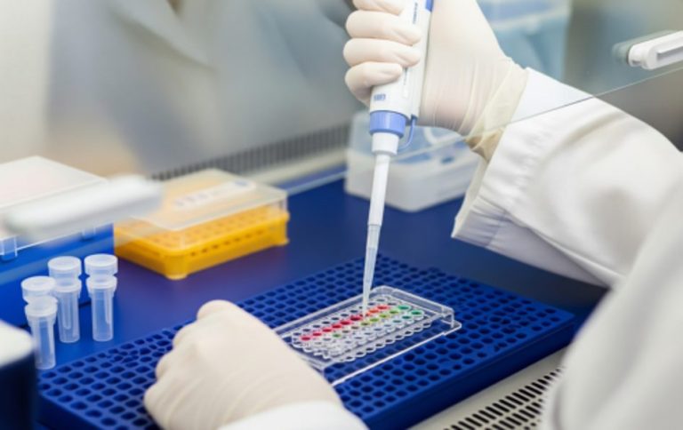 Applications of TX-A2 ELISA Kits in Inflammation and Platelet Activation Studies