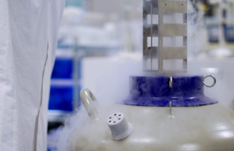 Cell Line Banking as a Foundation for Monoclonal Antibody Development