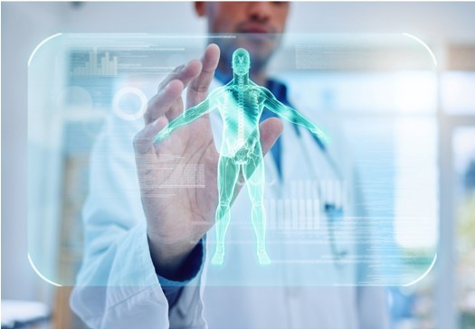 High-Throughput Human Antibody Discovery Services: Technologies Driving Modern Research Applications