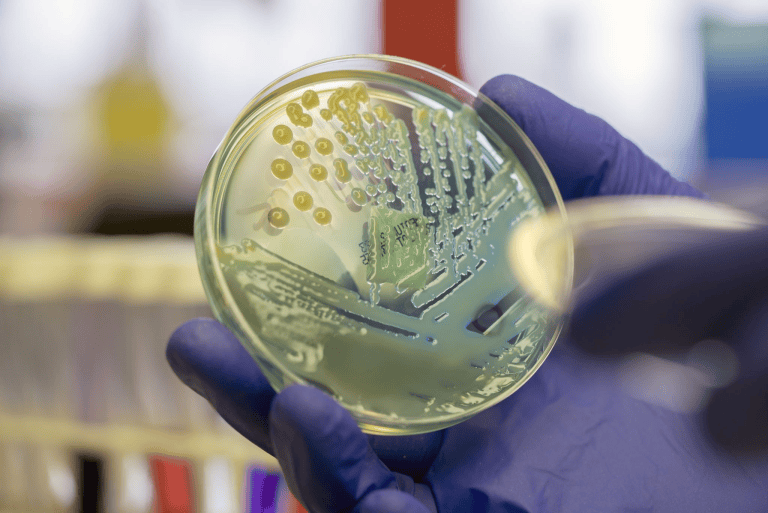Beyond Surface Cleaning: Environmental Control In Infection Prevention